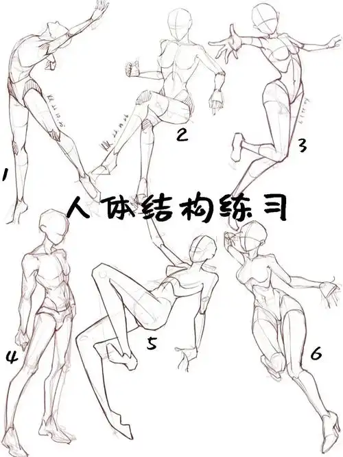 人体结构练习画画打卡自学手绘人物76