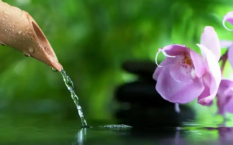 纯音乐 轻音乐 冥想放松身心 舒缓疗愈 睡眠音乐 静心音乐 治疗音乐