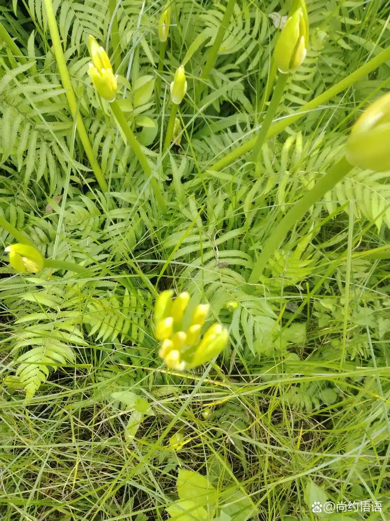雨来 不问出处 东西的云游 南北的闯荡 原本自下而上希望 却又要从上