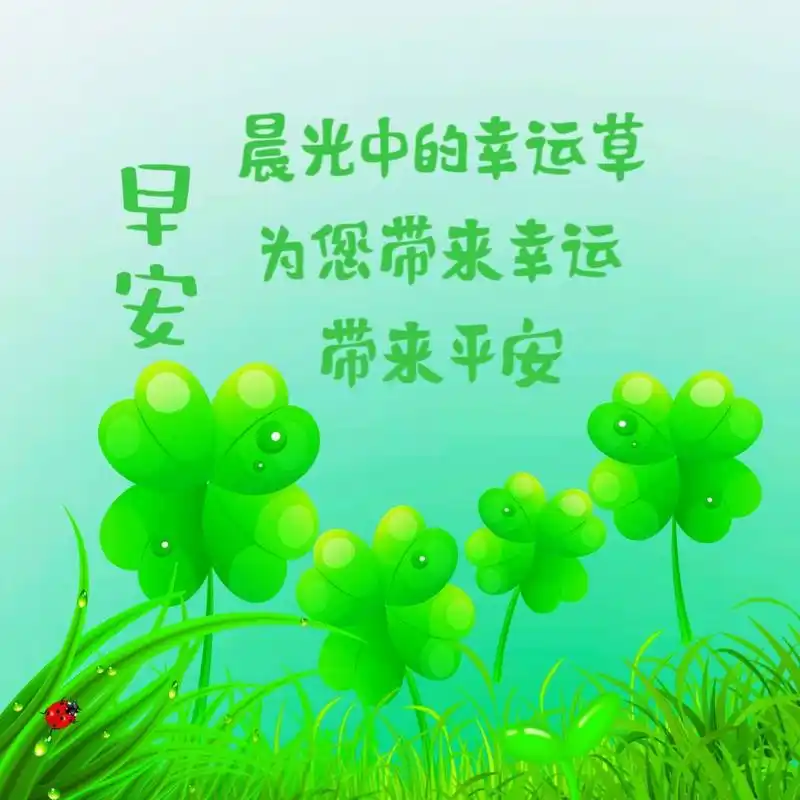 早安!晨曦的幸运草带来吉祥带来平安    治愈系风景