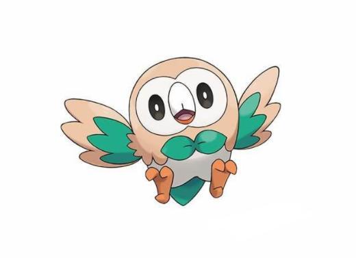 宝可梦图鉴722七代最受欢迎的可爱型飞行系木木枭